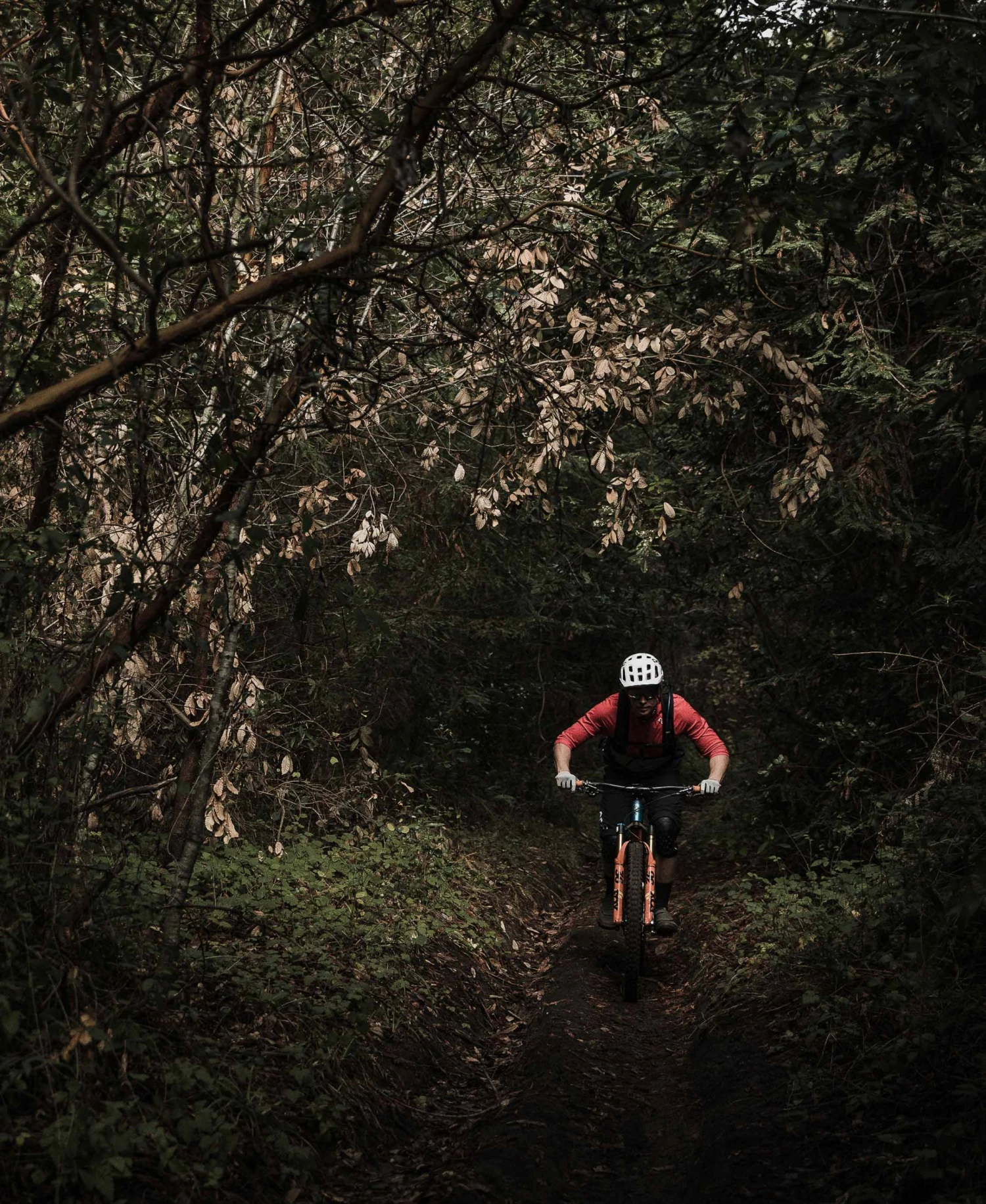 POC Resistance Enduro Glove - Premium Mountain Biking Gloves, New Arrival 9 POC Resistance Enduro Glove