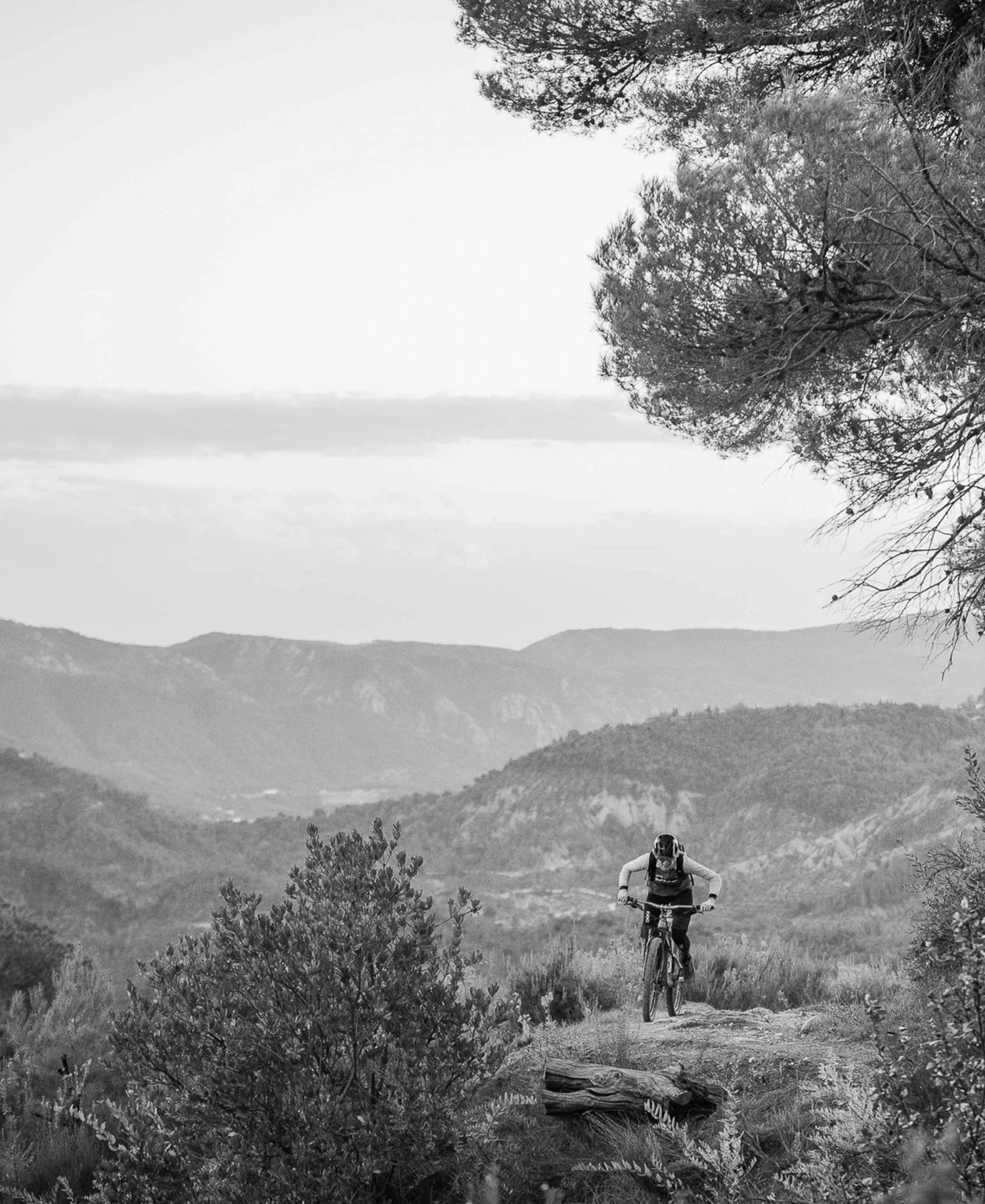 POC Essential MTB Women's Jersey - High-Performance Mountain Biking Apparel 7 POC Essential MTB Women's Jersey Apparel