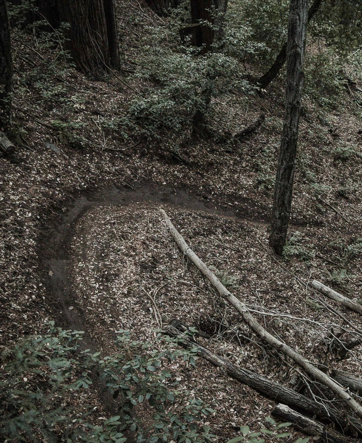 POC Apparel Resistance Pro DH Pants - Mountain Biking Gear for Men & Women 7 POC Apparel Resistance Pro DH Pants