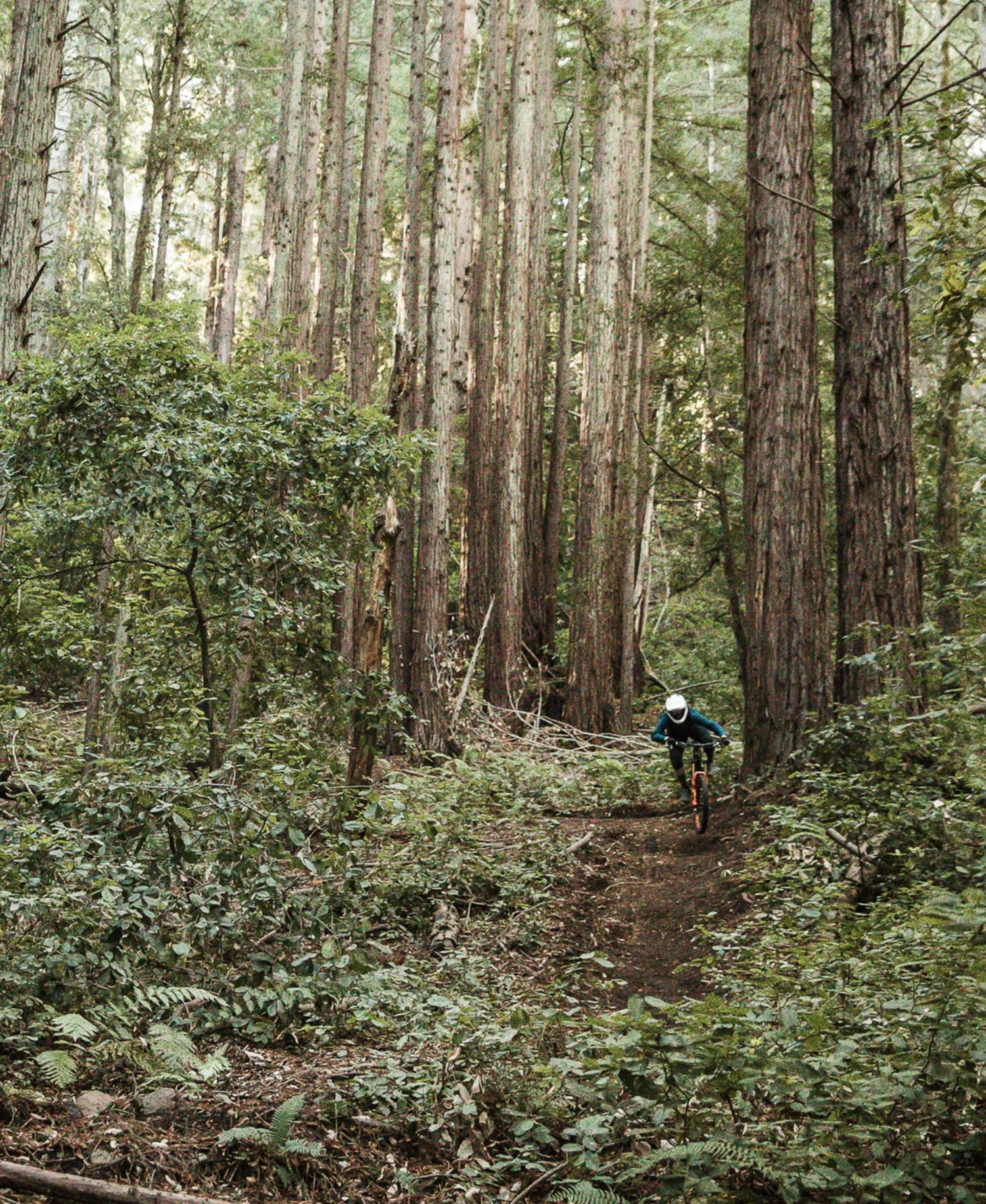 POC Resistance Women's 3/4 Jersey - Mountain Biking Apparel 11 POC Resistance Women's 3/4 Jersey Apparel