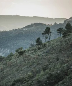 POC Joint VPD Air Elbow Protection for Mountain Biking & Snow Sports - NEW IN 31 POC Joint VPD Air Elbow NEW IN_