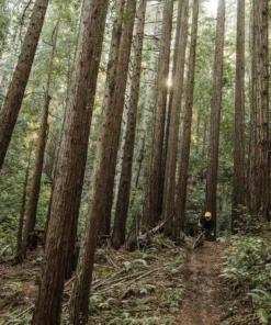 POC Armor VPD System Chest - Mountain Biking Chest Protector 8 POC Armor VPD System Chest